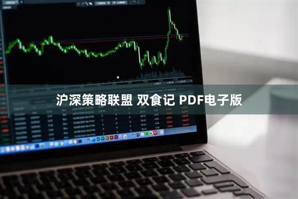 沪深策略联盟 双食记 PDF电子版