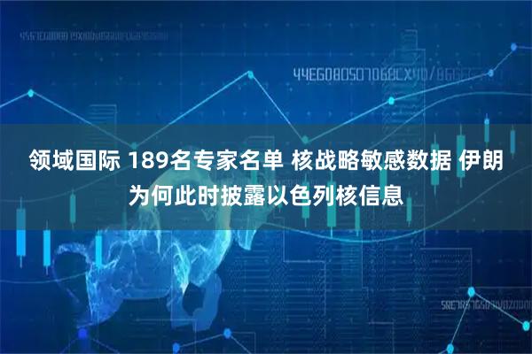 领域国际 189名专家名单 核战略敏感数据 伊朗为何此时披露以色列核信息