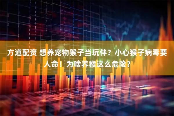 方道配资 想养宠物猴子当玩伴？小心猴子病毒要人命！为啥养猴这么危险？