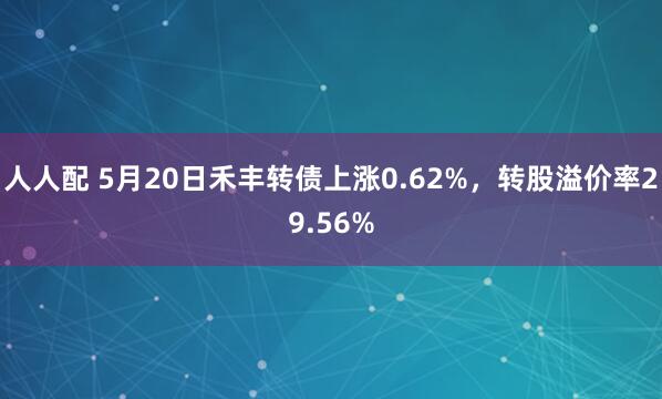 人人配 5月20日禾丰转债上涨0.62%，转股溢价率29.56%