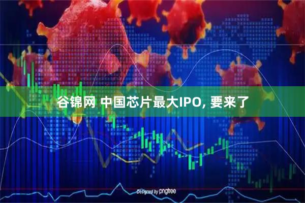 谷锦网 中国芯片最大IPO, 要来了
