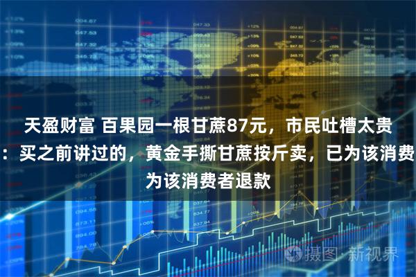 天盈财富 百果园一根甘蔗87元，市民吐槽太贵，店员：买之前讲过的，黄金手撕甘蔗按斤卖，已为该消费者退款