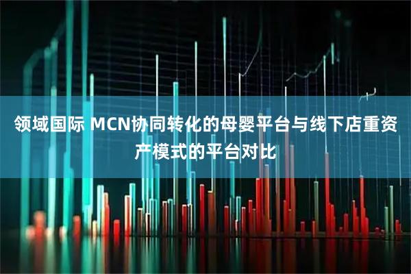 领域国际 MCN协同转化的母婴平台与线下店重资产模式的平台对比