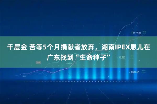 千层金 苦等5个月捐献者放弃，湖南IPEX患儿在广东找到“生命种子”