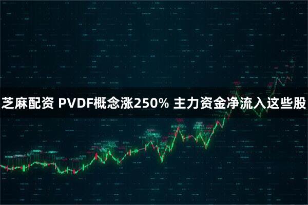 芝麻配资 PVDF概念涨250% 主力资金净流入这些股