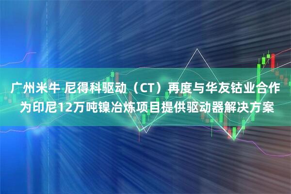 广州米牛 尼得科驱动（CT）再度与华友钴业合作 为印尼12万吨镍冶炼项目提供驱动器解决方案